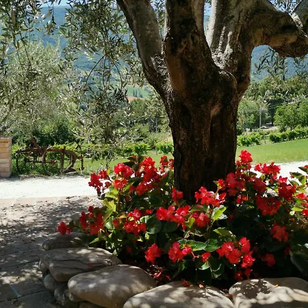 Sole Luna Ασίζη